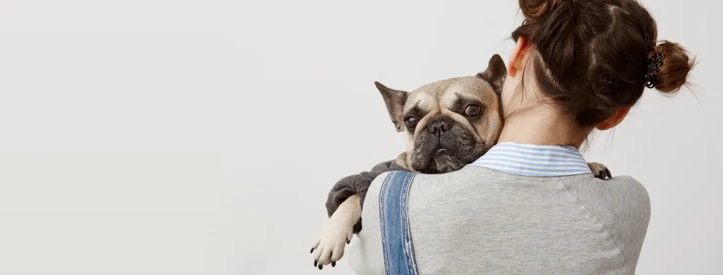 Perro de raza con su dueño